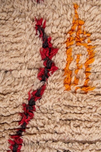 Rug 6