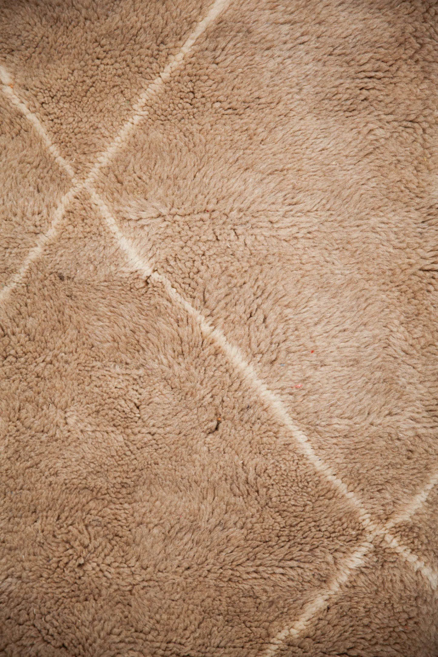 Rug 5